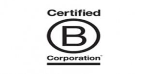 Read more about the article Pros and Cons of B Corporations
