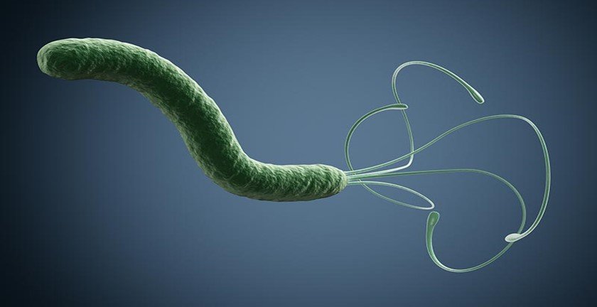 You are currently viewing Pros and Cons of H-Pylori