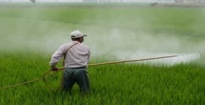 Read more about the article Pros and Cons of Pesticides
