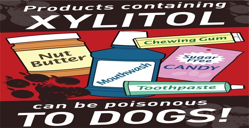 You are currently viewing Pros and Cons of Xylitol
