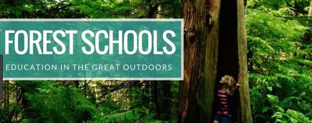 You are currently viewing Pros and cons of forest schools