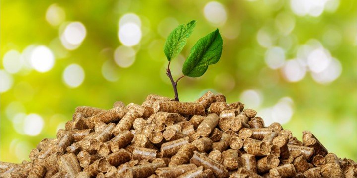 You are currently viewing Pros and Cons of Biomass