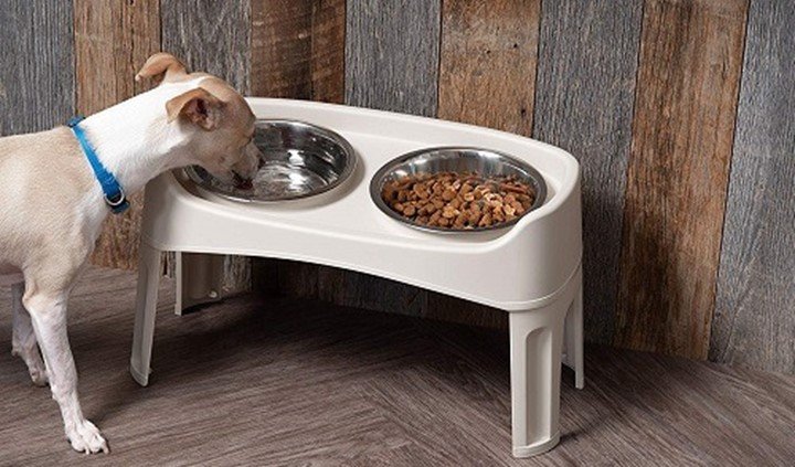 You are currently viewing Pros and cons of elevated dog feeders
