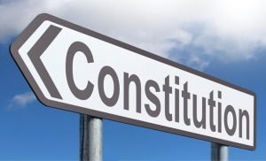 Read more about the article Pros and cons of constitution