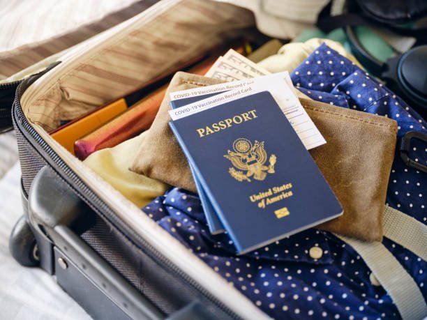 Pros and Cons of Smart Traveller Enrolment Program