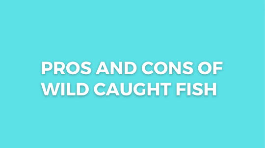 Pros and Cons of Wild Caught Fish