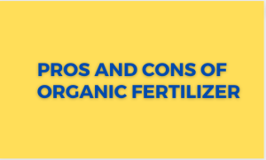 Read more about the article Pros and Cons of Organic Fertilizer
