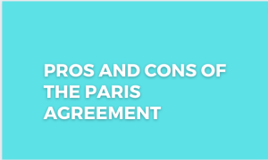 Read more about the article Pros and Cons of the Paris Agreement