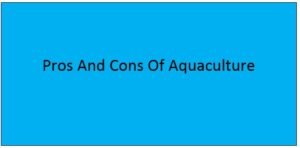 Read more about the article Pros And Cons Of Aquaculture