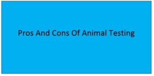 Read more about the article Pros And Cons Of Animal Testing