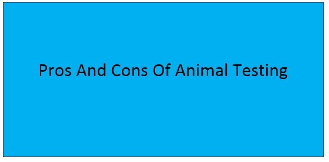 You are currently viewing Pros And Cons Of Animal Testing